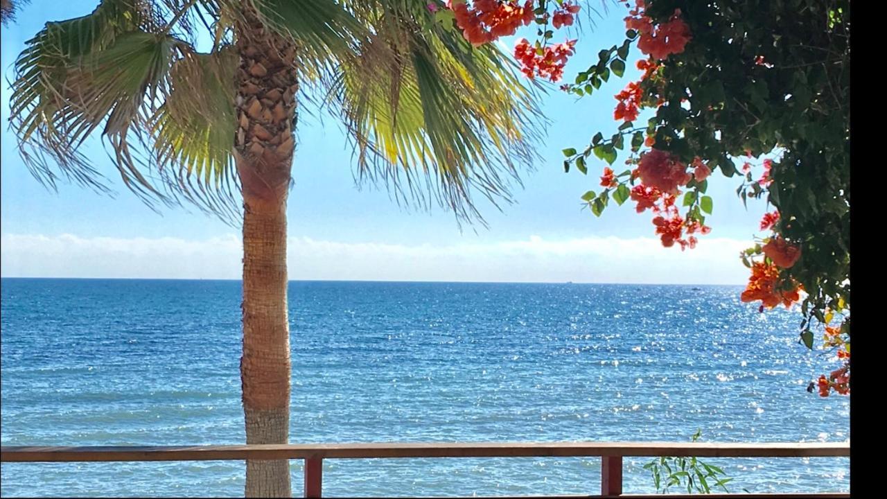 Apartamento Mi Capricho 3-5 Beachfront- With Sea Views In Costa Del Sol *